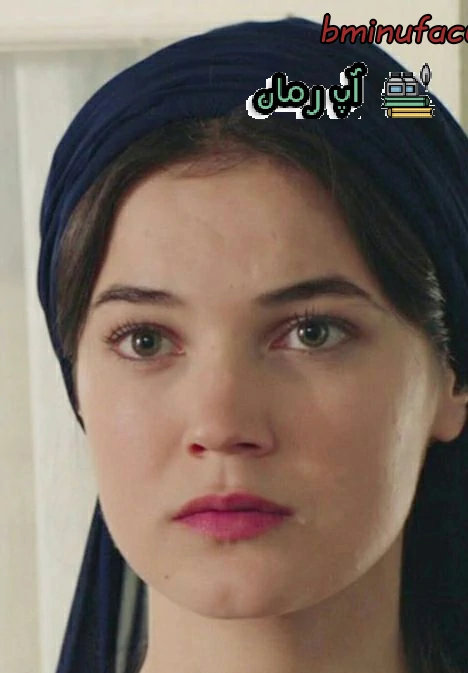 دانلود رمان جاذبه عشق از پریسا ق pdf