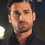 دانلود رمان رقص پروانه ها اثر مونا امین سرشت